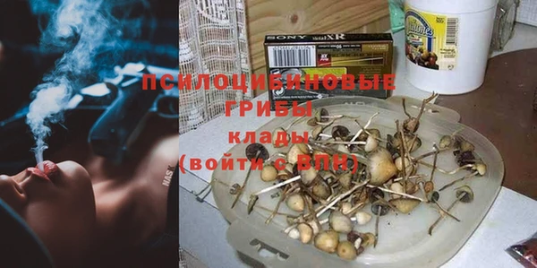 мяу мяу мука Абдулино