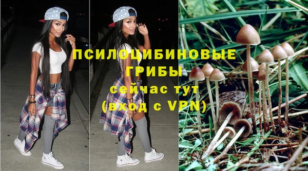 первитин Абинск